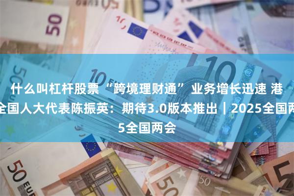 什么叫杠杆股票 “跨境理财通” 业务增长迅速 港区全国人大代表陈振英：期待3.0版本推出｜2025全国两会