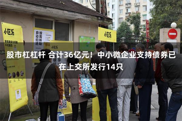 股市杠杠杆 合计36亿元！中小微企业支持债券已在上交所发行14只