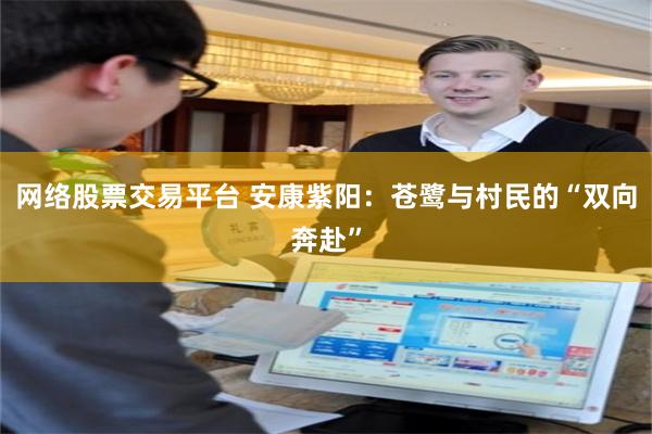 网络股票交易平台 安康紫阳：苍鹭与村民的“双向奔赴”