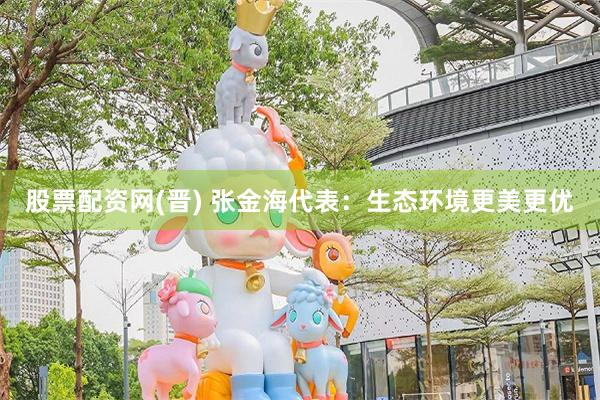股票配资网(晋) 张金海代表:生态环境更美更优