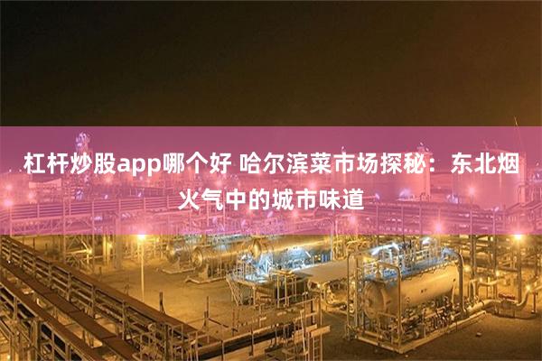 杠杆炒股app哪个好 哈尔滨菜市场探秘：东北烟火气中的城市味道