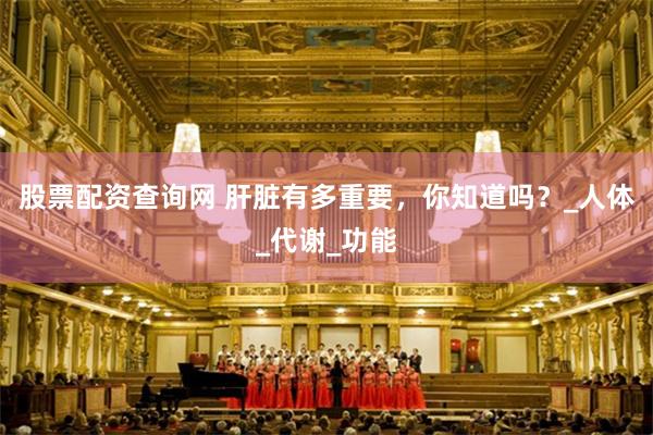 股票配资查询网 肝脏有多重要，你知道吗？_人体_代谢_功能