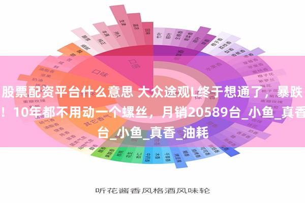 股票配资平台什么意思 大众途观L终于想通了，暴跌5.5万！10年都不用动一个螺丝，月销20589台_小鱼_真香_油耗
