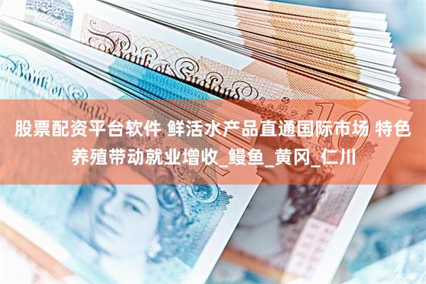 股票配资平台软件 鲜活水产品直通国际市场 特色养殖带动就业增收_鳗鱼_黄冈_仁川