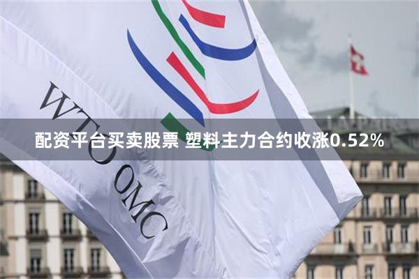 配资平台买卖股票 塑料主力合约收涨0.52%