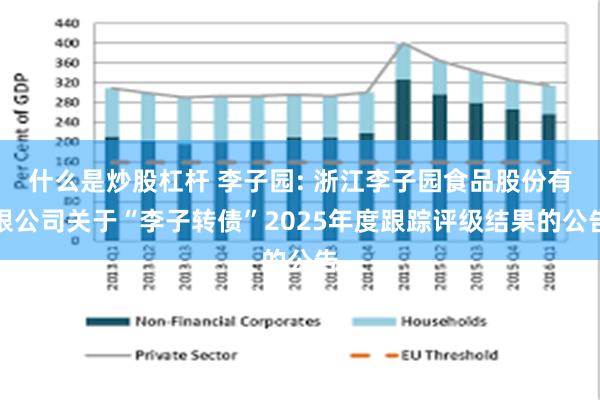 什么是炒股杠杆 李子园: 浙江李子园食品股份有限公司关于“李子转债”2025年度跟踪评级结果的公告