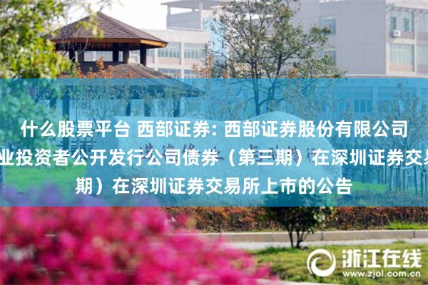 什么股票平台 西部证券: 西部证券股份有限公司2025年面向专业投资者公开发行公司债券（第三期）在深圳证券交易所上市的公告