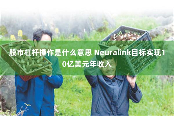 股市杠杆操作是什么意思 Neuralink目标实现10亿美元年收入