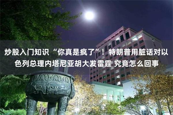 炒股入门知识 “你真是疯了”！特朗普用脏话对以色列总理内塔尼亚胡大发雷霆 究竟怎么回事