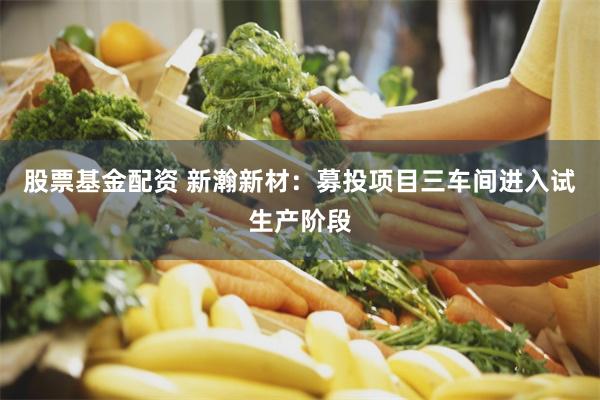 股票基金配资 新瀚新材：募投项目三车间进入试生产阶段
