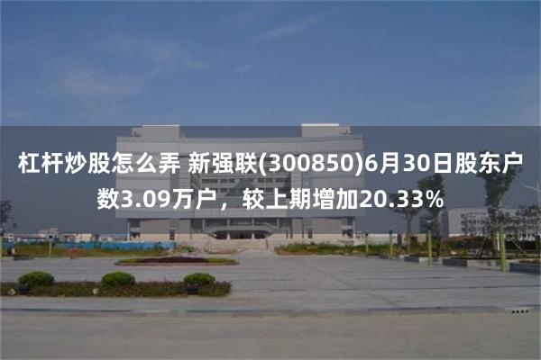 杠杆炒股怎么弄 新强联(300850)6月30日股东户数3.09万户，较上期增加20.33%