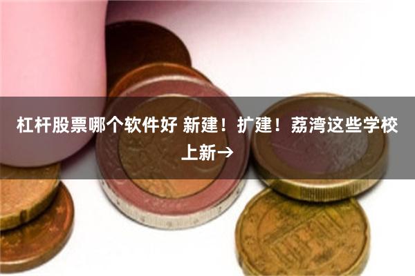 杠杆股票哪个软件好 新建！扩建！荔湾这些学校上新→