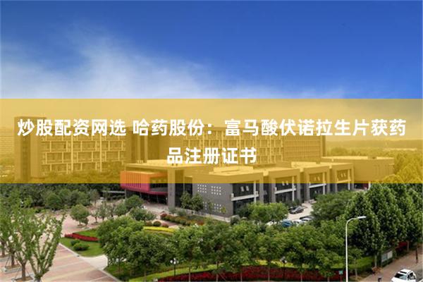 炒股配资网选 哈药股份：富马酸伏诺拉生片获药品注册证书