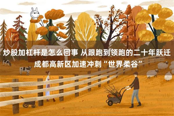 炒股加杠杆是怎么回事 从跟跑到领跑的二十年跃迁 成都高新区加速冲刺“世界柔谷”