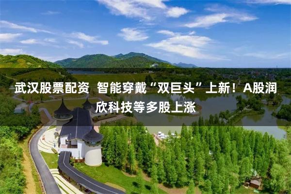 武汉股票配资  智能穿戴“双巨头”上新！A股润欣科技等多股上涨