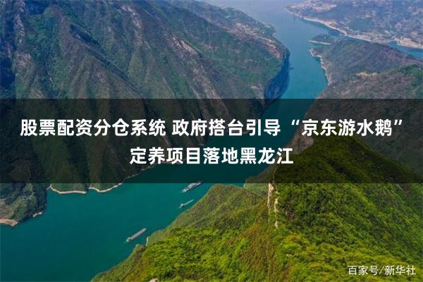 股票配资分仓系统 政府搭台引导 “京东游水鹅”定养项目落地黑龙江
