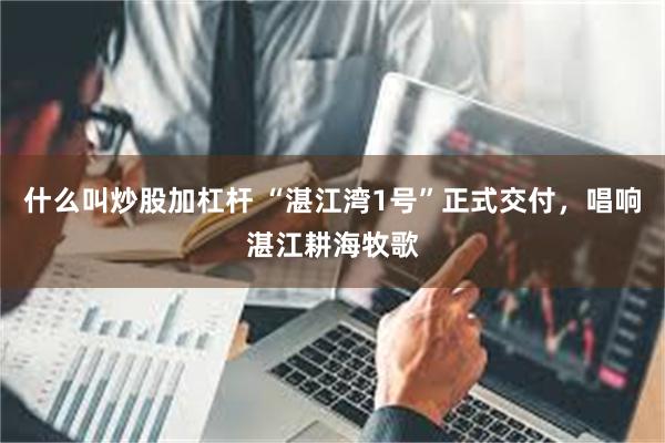 什么叫炒股加杠杆 “湛江湾1号”正式交付，唱响湛江耕海牧歌
