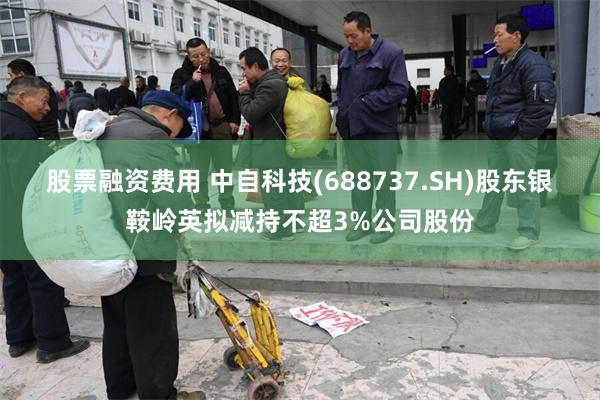 股票融资费用 中自科技(688737.SH)股东银鞍岭英拟减持不超3%公司股份